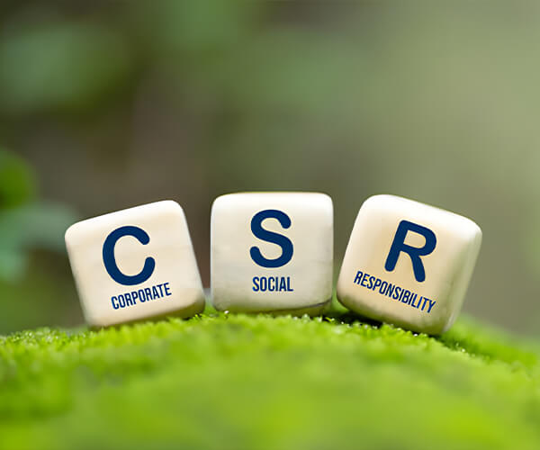 Shandong Tianli Pharmaceutical