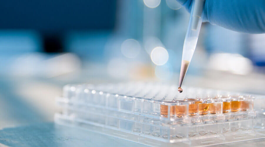 Shandong Tianli Pharmaceutical