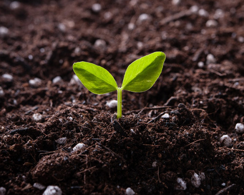 Tianli Pharmaceutical Compound Fertilizer: Ecological Enhancement and Support for Green Agriculture